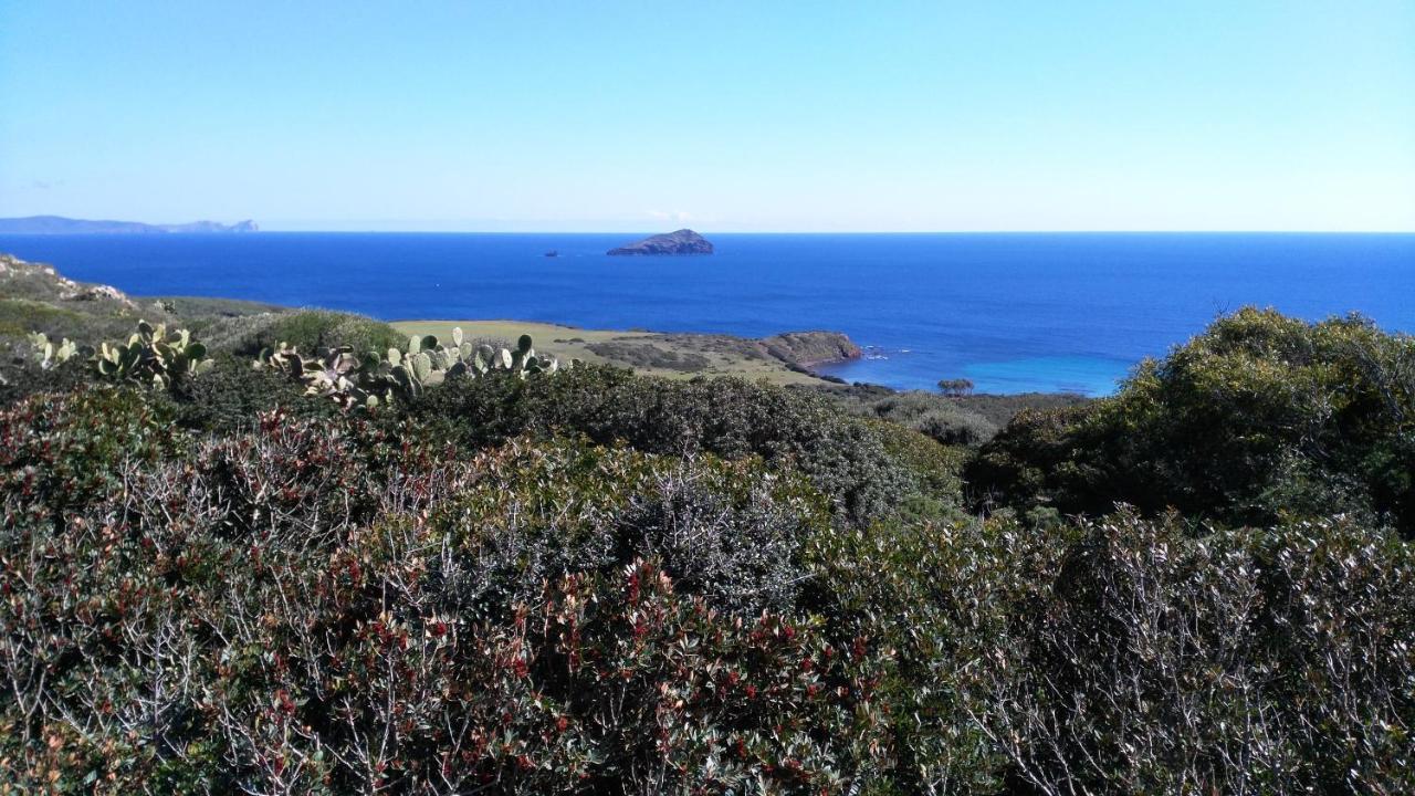 B&B Glamping Semaforo Capo Sperone SantʼAntìoco Екстериор снимка
